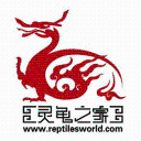 灵龟之家1.0.15 龟友交流社区