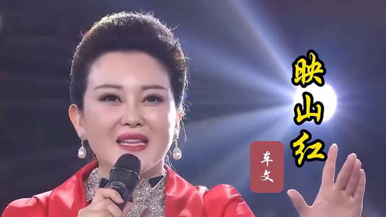 高速映山红会员 安卓版 播放界面截图