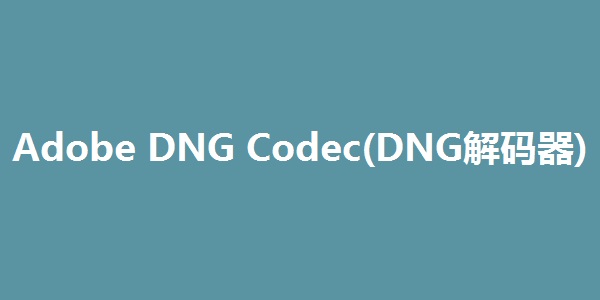 DNG Processor 安卓版 操作界面截图