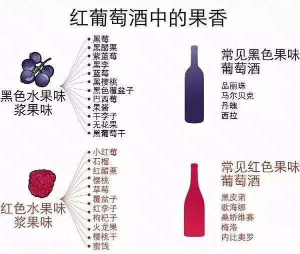 酒艺宇宙新手品酒入门指南全攻略