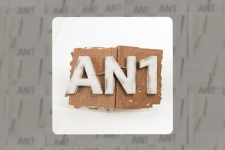 AN1 Store��Ʒ�����빺��ָ�ϣ��ܿӱؿ�