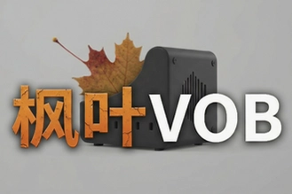 ��ҶVOB��Ƶ��ʽת�������ذ�װ�̳̼����ת������