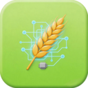 �����1.0.4 �����罻