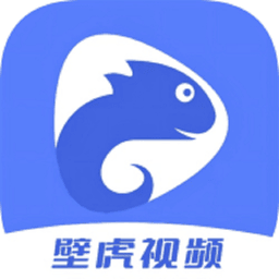 壁虎桌面助手 安卓版 使用教程