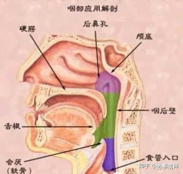 声线 打开口腔练习方法