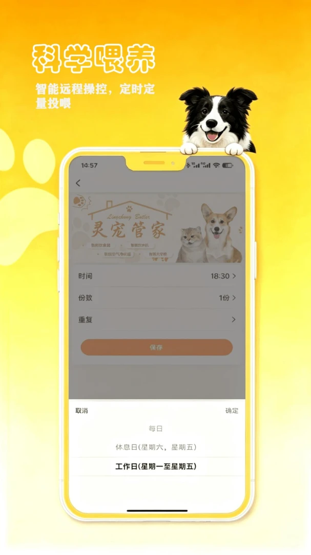 �������RpetCompanionR1.0.17 ���ﻥ������