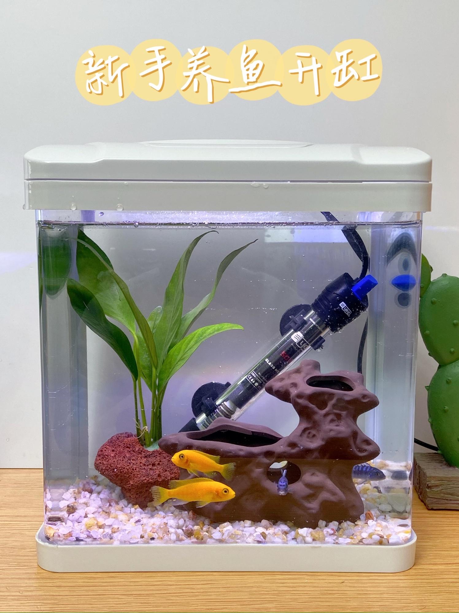 �����㿪����ˮ����