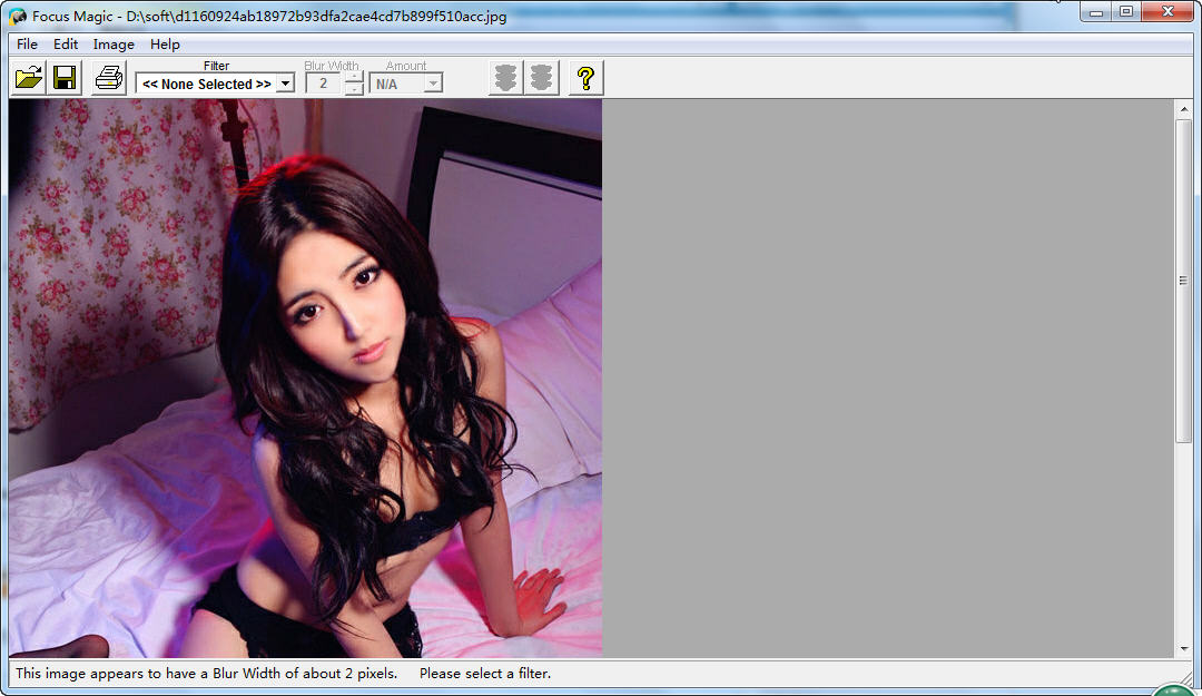 Focus Magic5.6.1 图像锐化修复工具