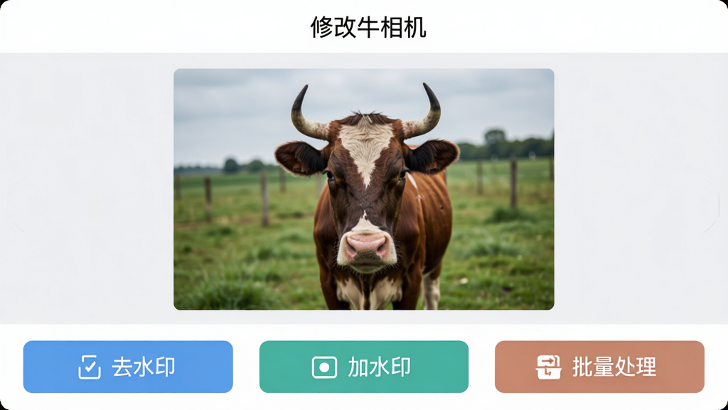 一张展示修改牛相机主界面的高清截图,界面简洁明亮,顶部显示“修改牛相机”字样,中间为图片预览区,底部有“去水印”“加水印”“批量处理”三个主要功能按钮,每个按钮图标清晰,整体风格现代,色彩搭配和谐,画质干净,无多余元素