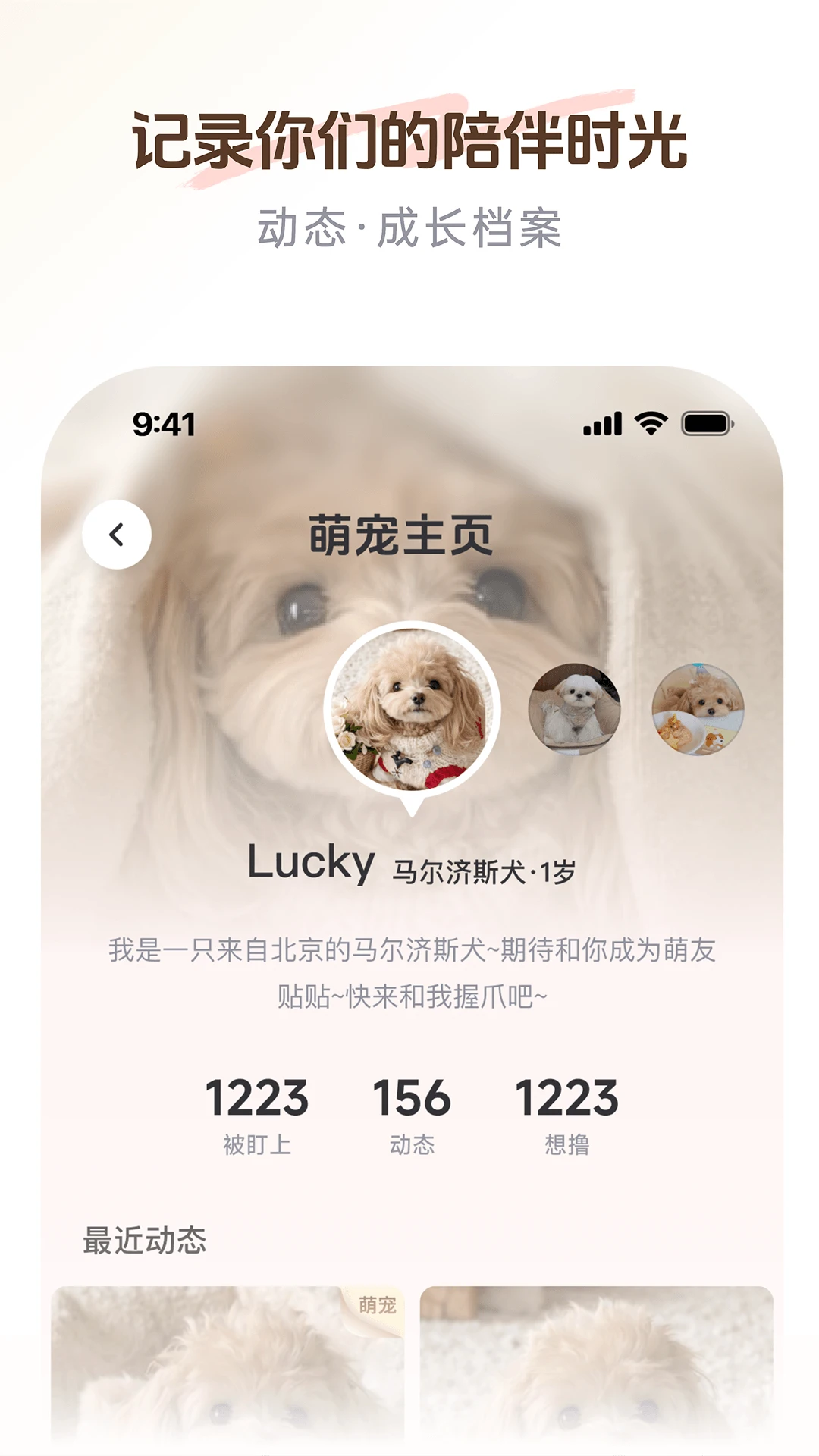 PetSpace2.4.0 �����罻����