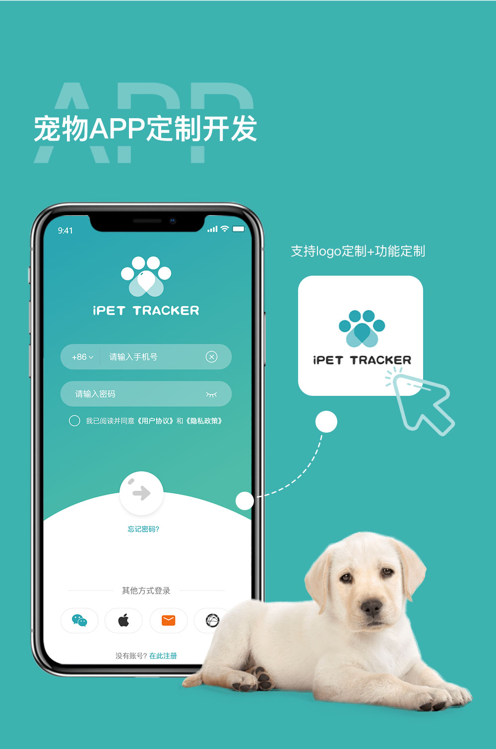 PetSpace 安卓版 功能预览