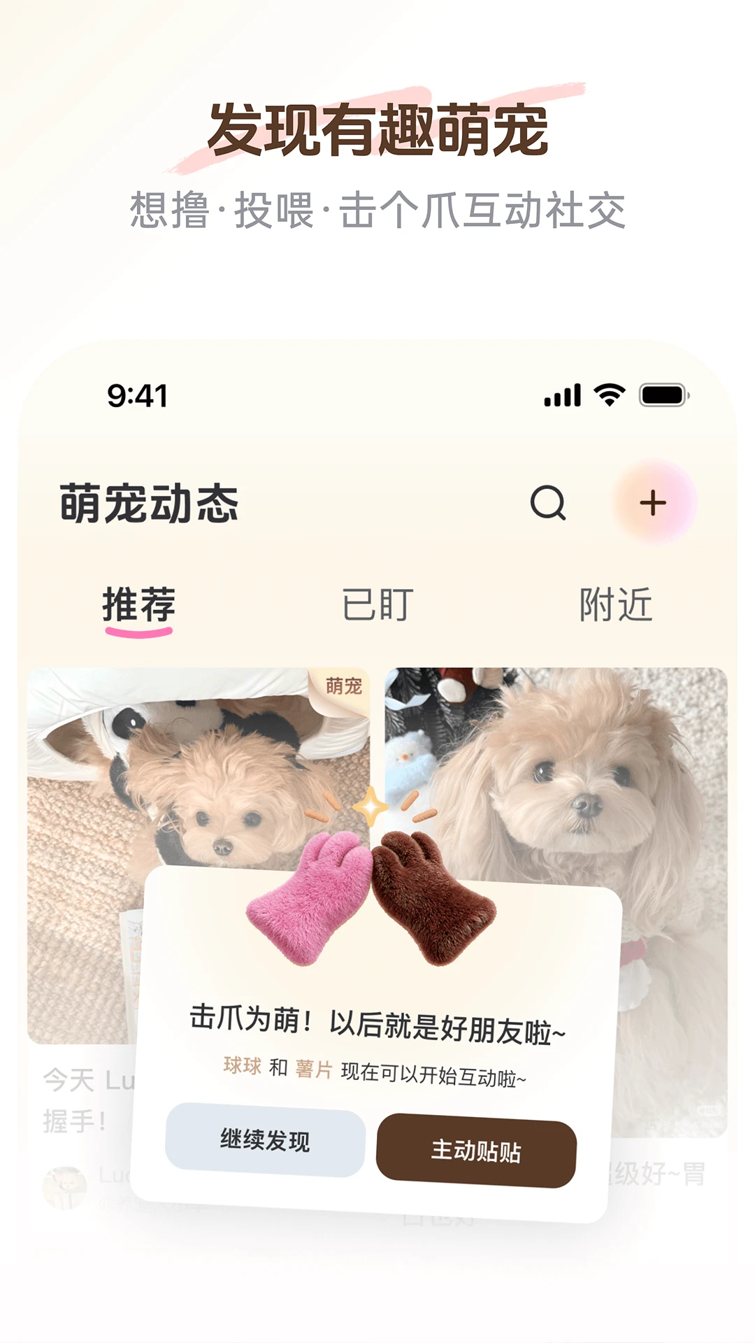 PetSpace2.4.0 �����罻����