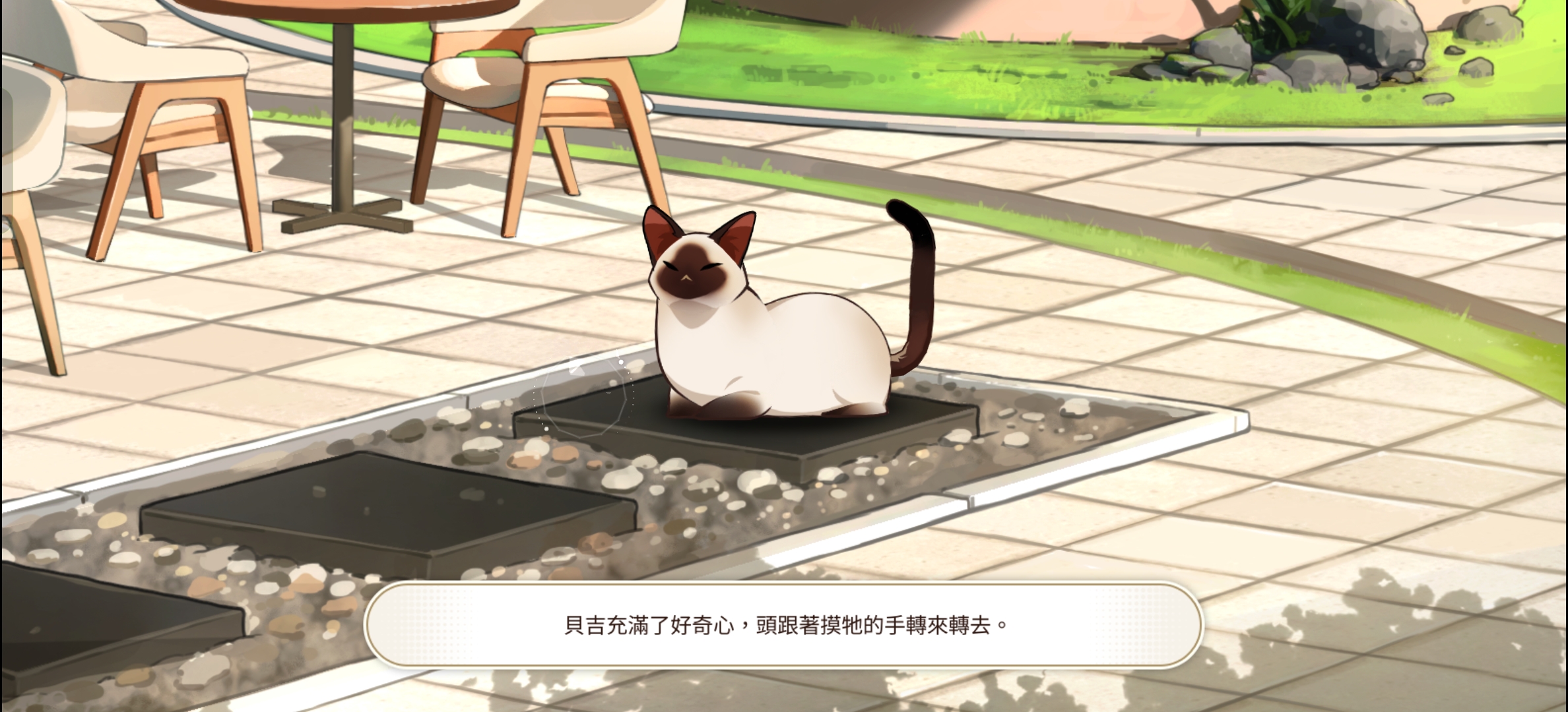 闲猫星球 新手入门 撸猫玩法 攻略大全