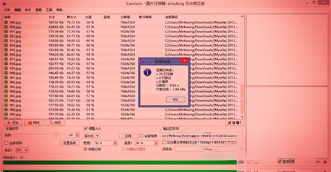 Caesium图片压缩工具Caesium2.6.1 图片压缩