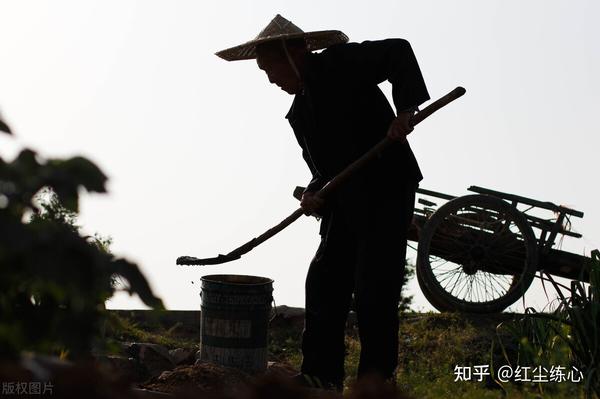 干嘛都行 自我和解 生活态度