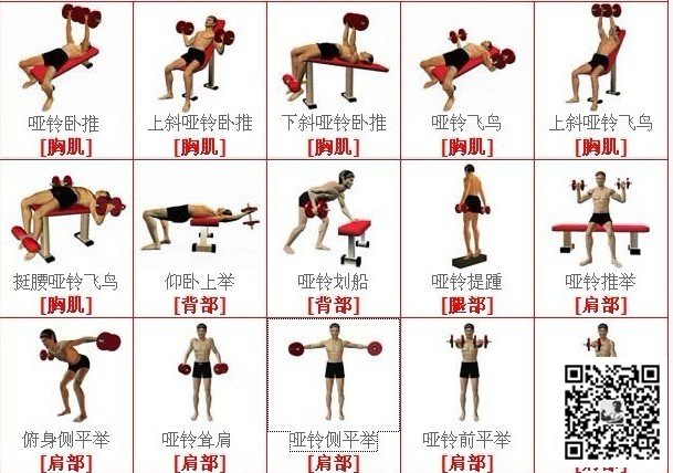 哑铃健康大全安卓版训练计划界面截图