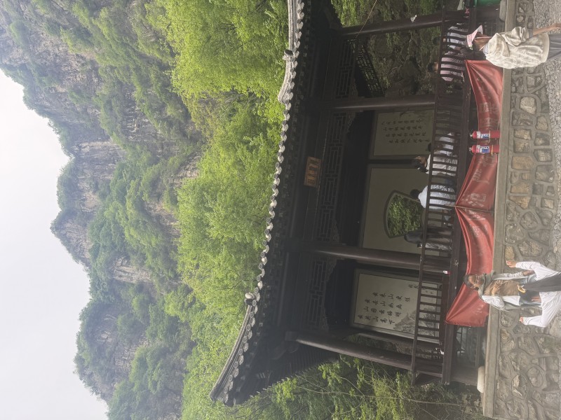 白沟河网用户评价使用体验