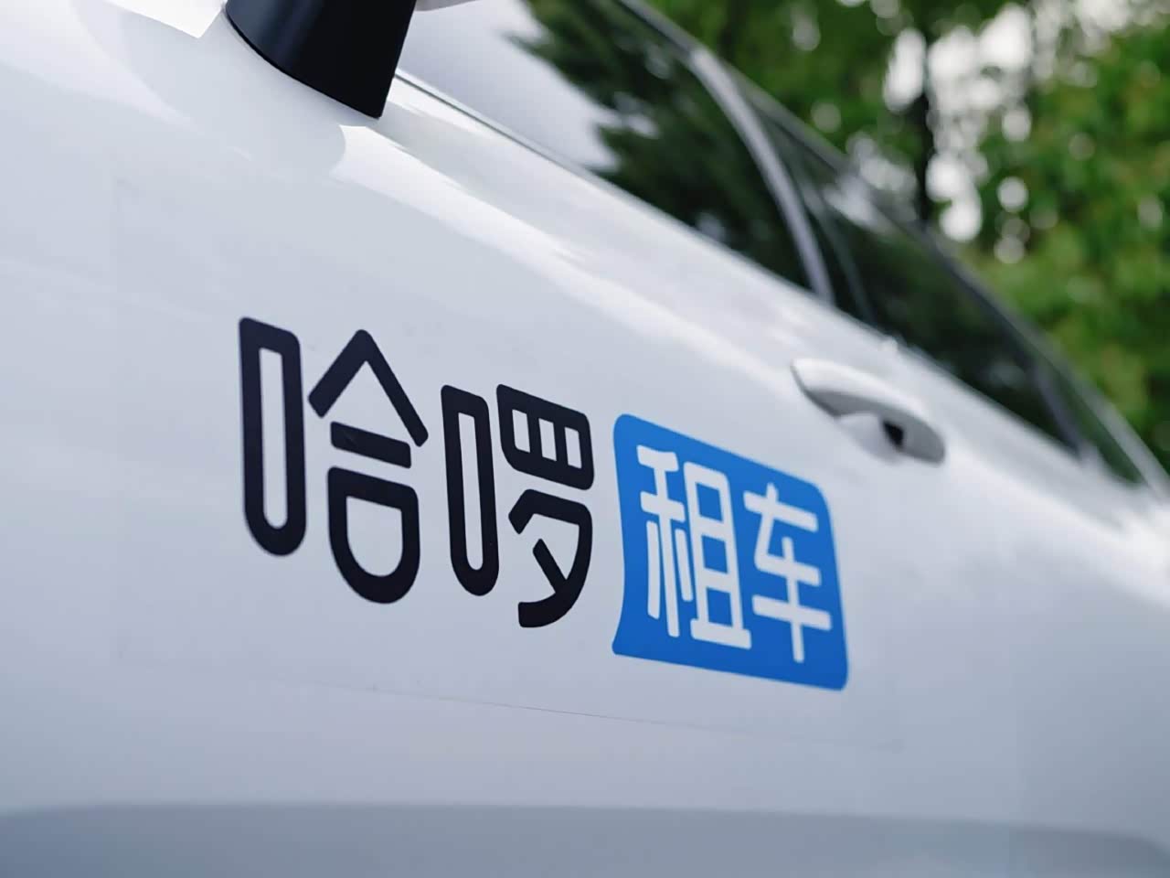 看看租车平台便宜靠谱推荐