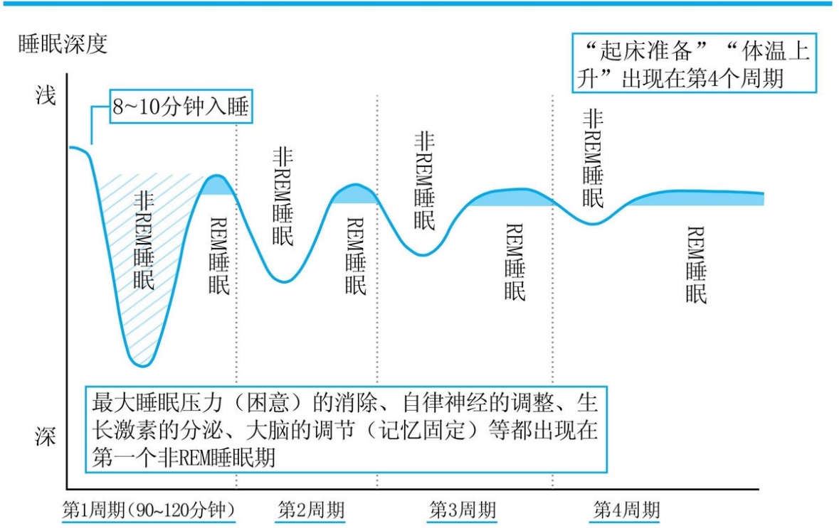 人类遗失梦境 原因分析 睡眠周期 快速眼动期 配图