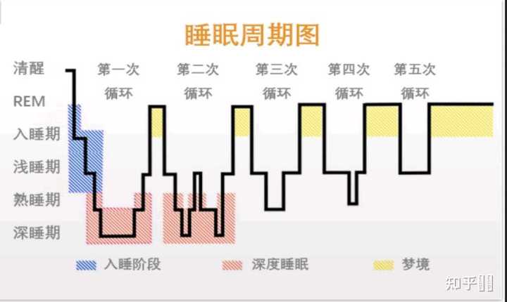 人类遗失梦境 醒来时机 快速眼动期 睡眠阶段 配图