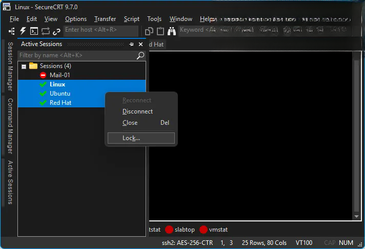 SecureFX8.9.2 安全文件传输工具
