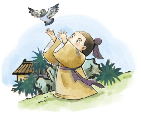 飞鸽传书 古代信鸽训练方法