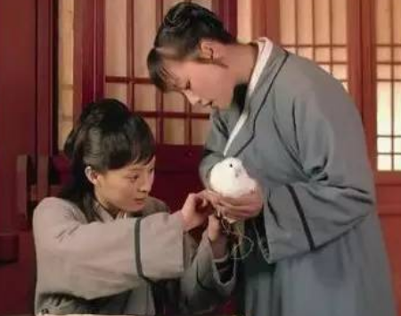 飞鸽传书 信鸽腿上的竹管怎么绑