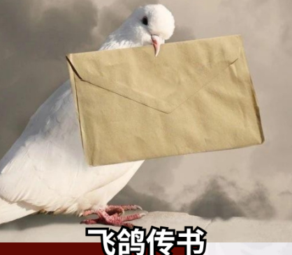 飞鸽传书 现代人常见误解
