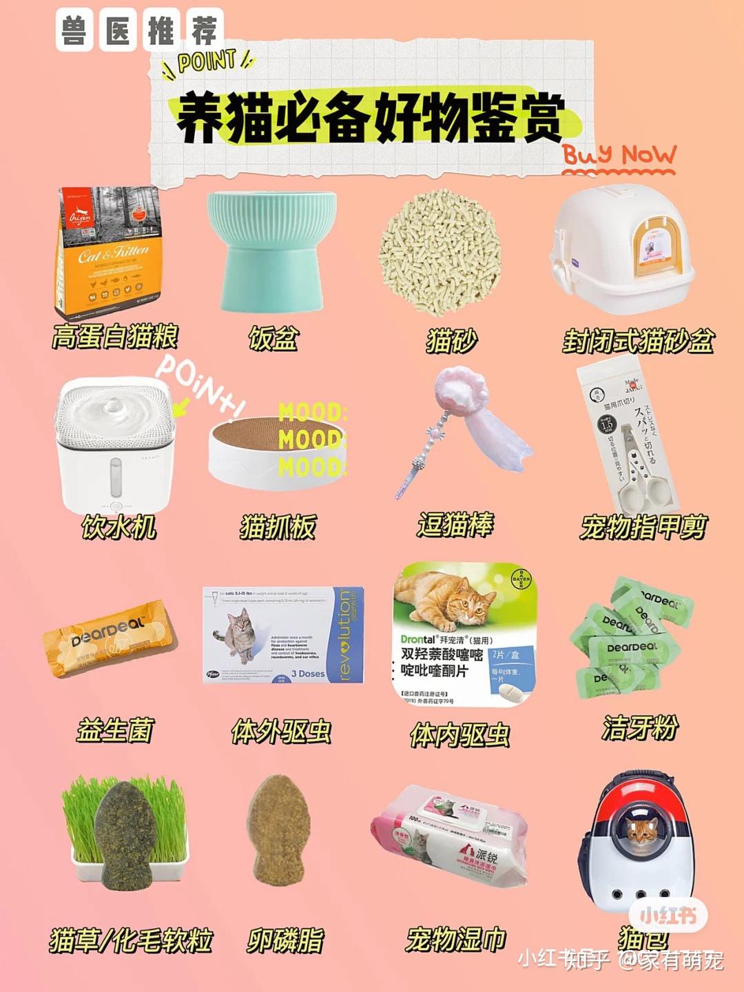 宠好伴宠物用品测评推荐 养宠家庭必备好物清单