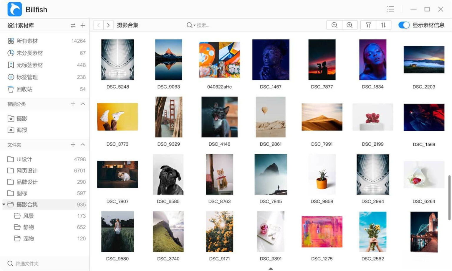 Billfish(比尔鱼)3.2.3.8 素材管理利器
