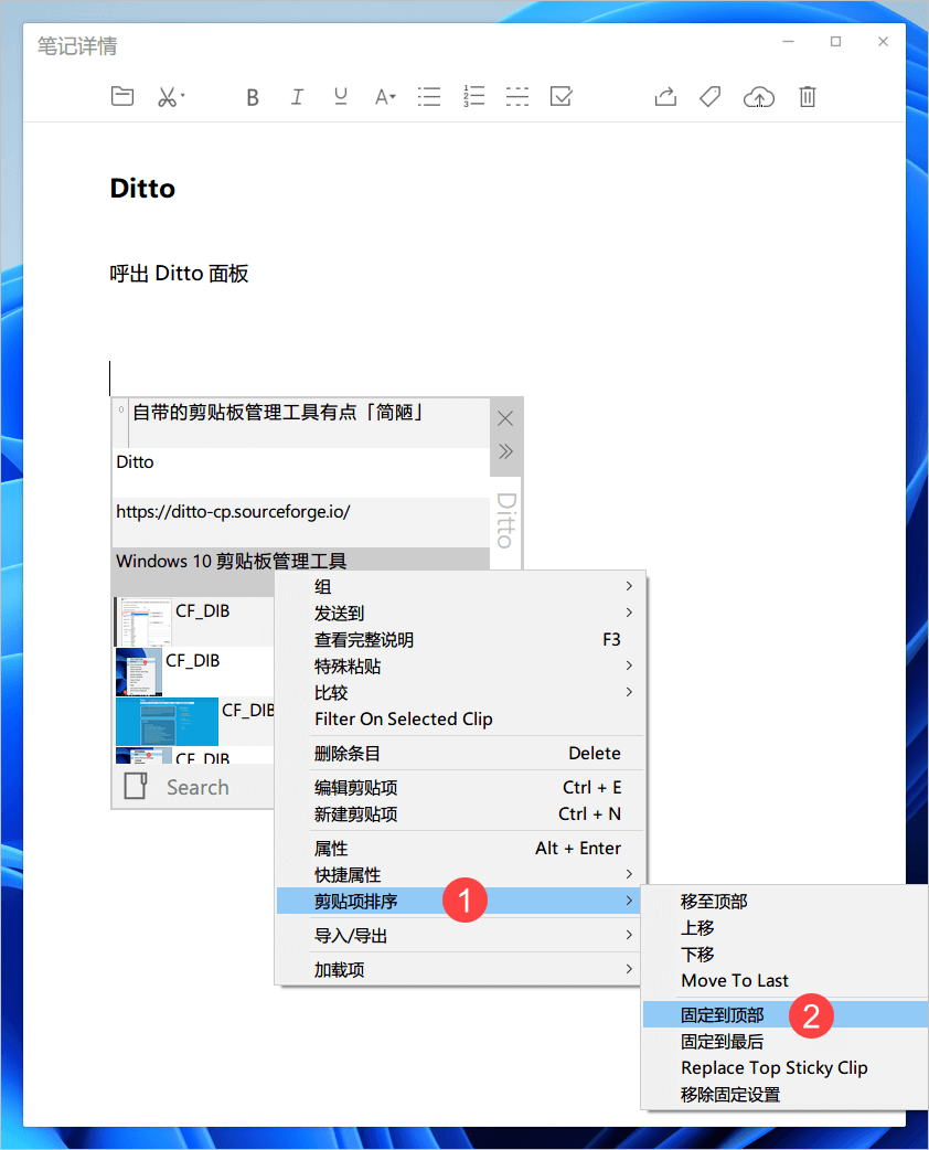 Ditto剪贴板增强工具 历史记录管理 界面截图