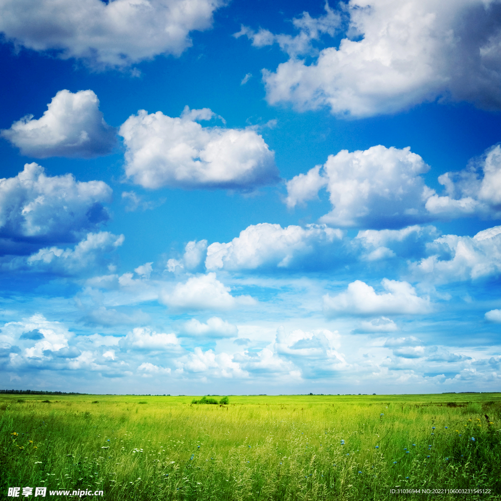 POCO图客搜索蓝天白云风景高清图片结果页