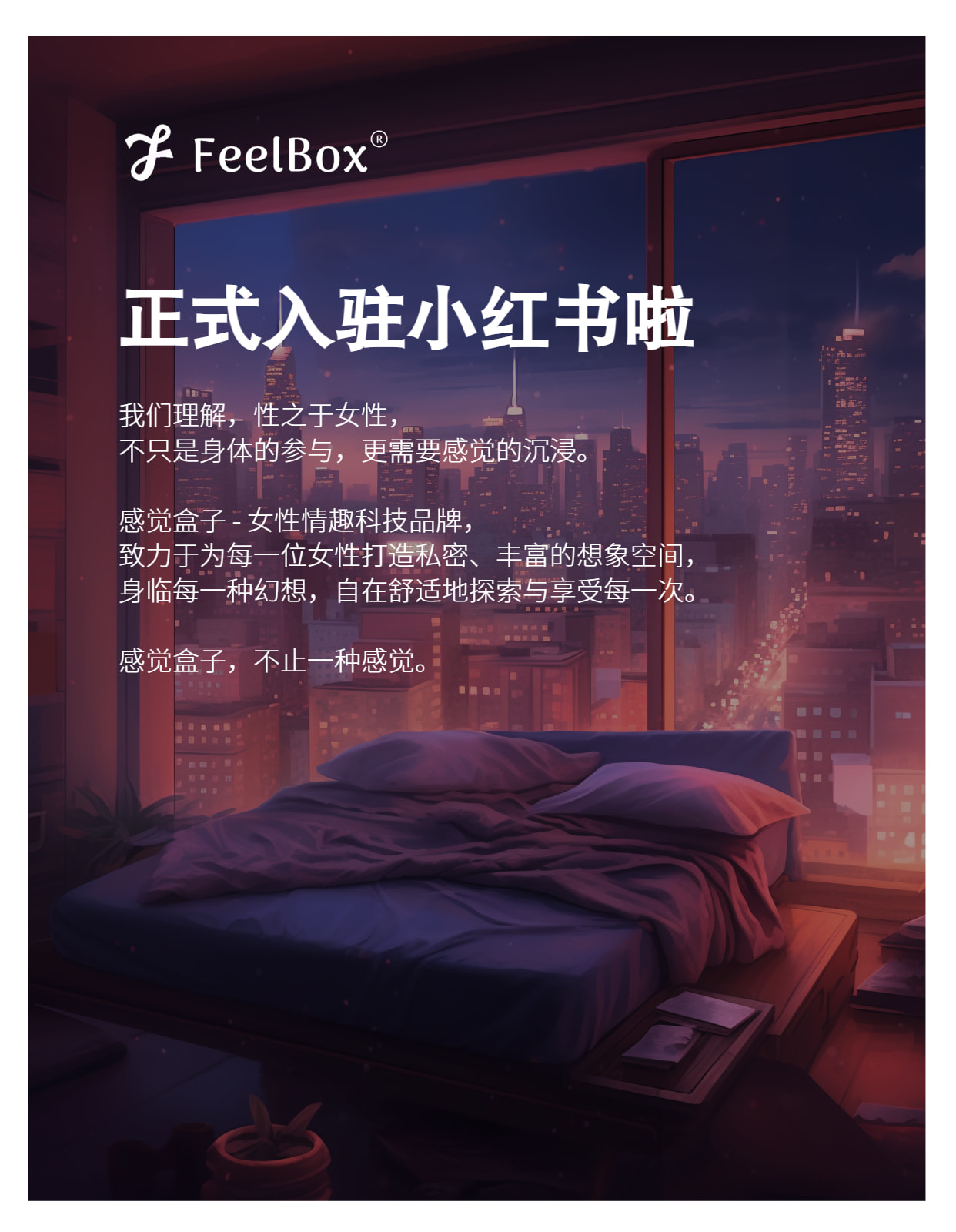 感觉盒子 安卓版 功能截图