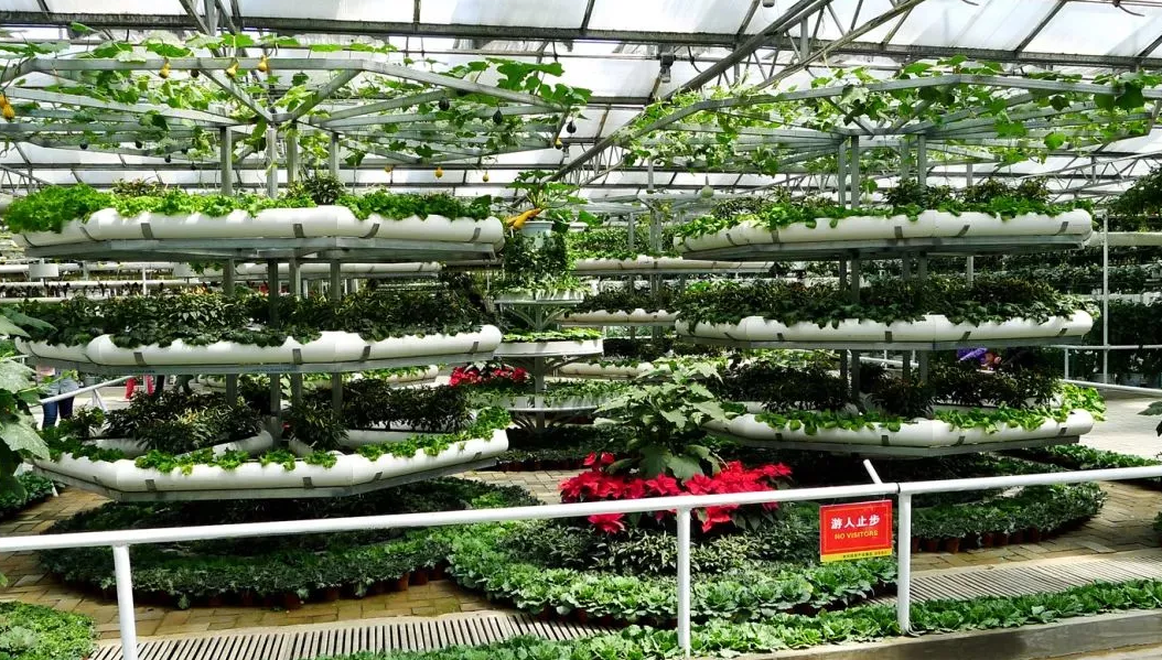 块状的农场 立体种植 套种 养鸡 循环农业 收益