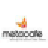 Metacafe Video Downloader1.0 视频下载工具