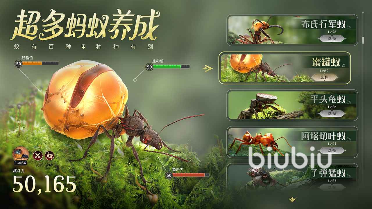 小蚂蚁大作战蚁群争霸攻略技巧详解