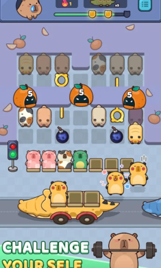 ˮ�����Capybara Out4.1.2 ��������