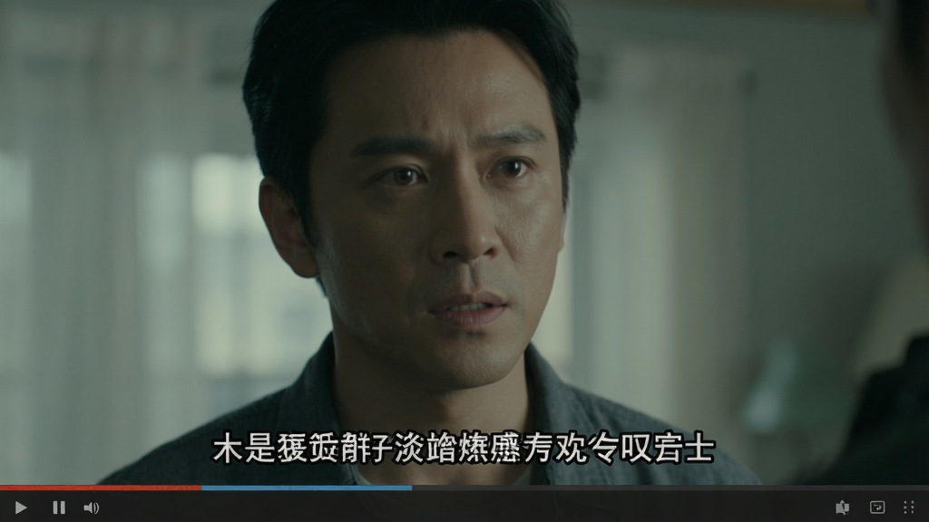KMPlayer 播放视频时显示字幕的效果,电影画面背景,底部显示清晰的中文简体字幕,字幕带有黑色描边,播放器控制栏隐藏,画面干净,排版整洁,画质清晰,无多余元素