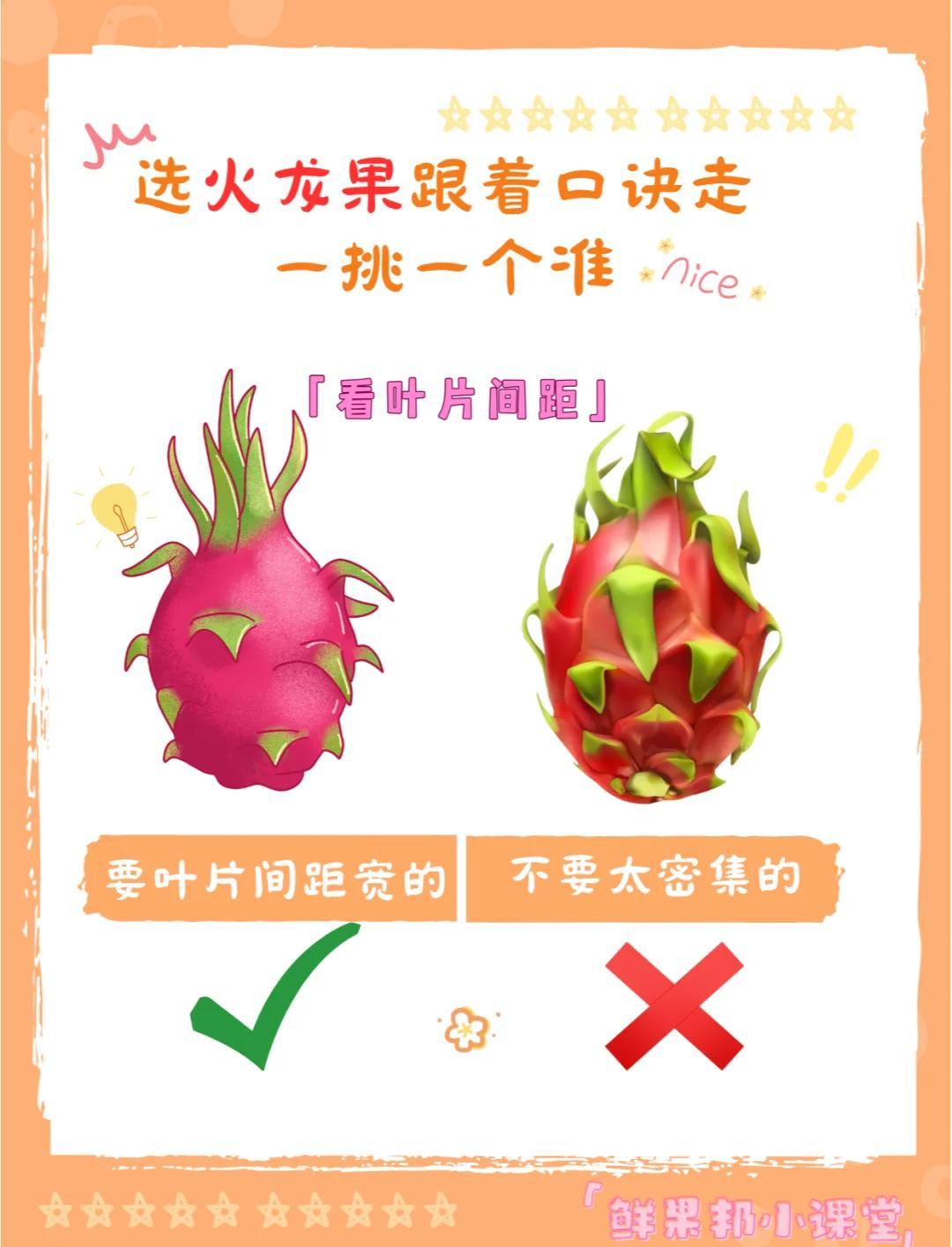 鲜果专家 西瓜 菠萝 火龙果 挑选技巧 避坑指南