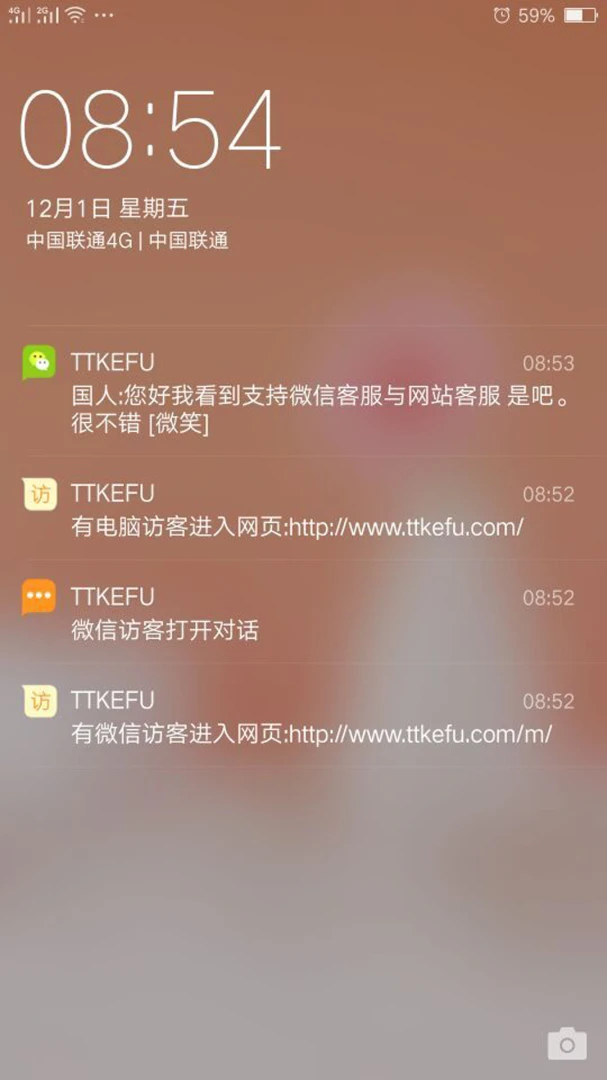 TTKEFU网站在线客服系统V3.8.2 在线客服系统