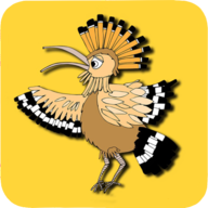 The Birds1.40 鸟类模拟飞行