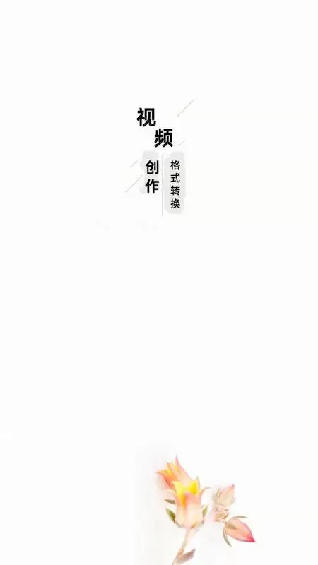 视频格式转换器v3.6.8 全能视频转码工具