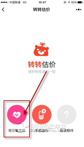 荷尔蒙估价【转转出品】二手行情查询实测经验分享