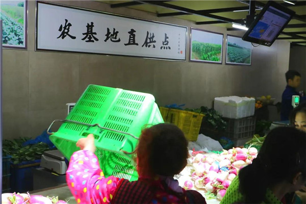 批菜集采 批发直供 源头进货省钱