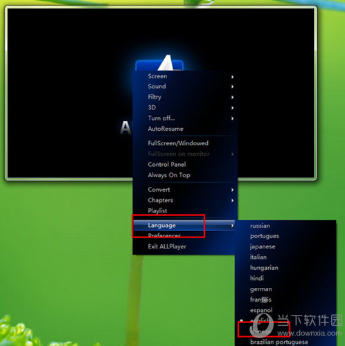 AllPlayer播放器安装选项设置