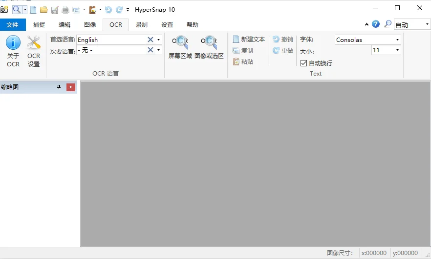 HyperSnap9.5.1 专业截图工具