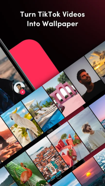 Video Wallpaperv3.2.0 ��̬��ֽ����