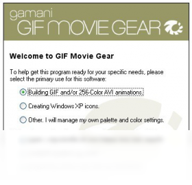 GIF Movie Gear 注册码 使用教程