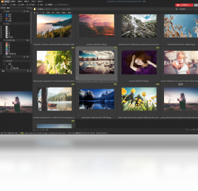 ACDSee Photo Studio Standard 2019 安卓版 图片管理界面