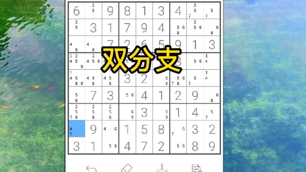 破解数独 九宫格 实战经验分享